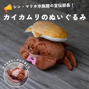 カイカムリぬいぐるみ｜シン・マリホ水族館