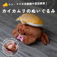 カイカムリぬいぐるみ｜シン・マリホ水族館