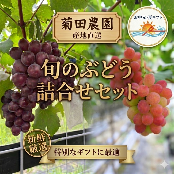 お中元｜菊田農園特選 旬のぶどう詰合せ-農園直送 送料込のし付