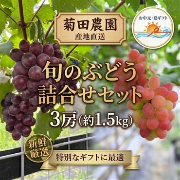 お中元｜菊田農園特選 旬のぶどう詰合せ-農園直送 送料込のし付(3房（約1.5㎏）セット)