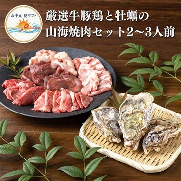 お中元｜厳選牛豚鶏と牡蠣の山海焼肉セット-2～3人前 送料込のし付