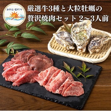 お中元｜厳選牛3種と大粒牡蠣の贅沢焼肉セット-2～3人前 送料込のし付