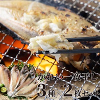 【山陰沖産・無添加】かれい干物  3種×2枚入り　食べ比べセット 