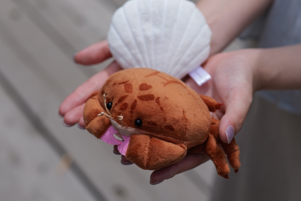 シン・マリホ水族館の宣伝部長カイカムリのぬいぐるみ