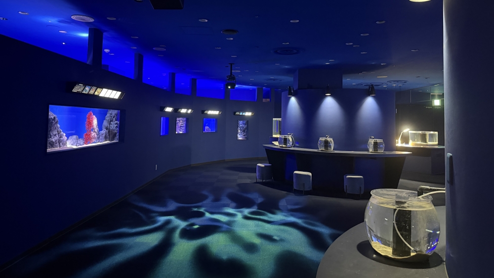 シン・マリホ水族館の展示