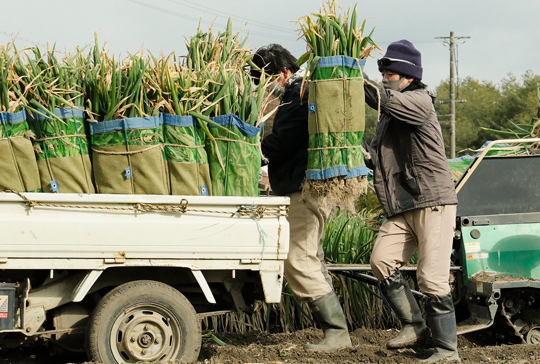 有機栽培のネギをあますことなく使用