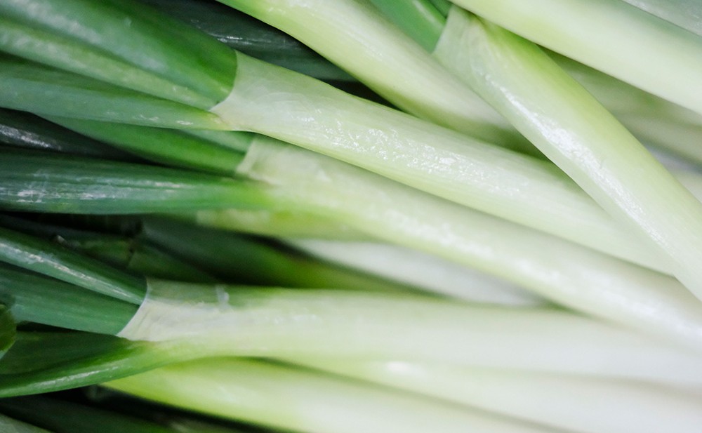 しゃきしゃきのネギ