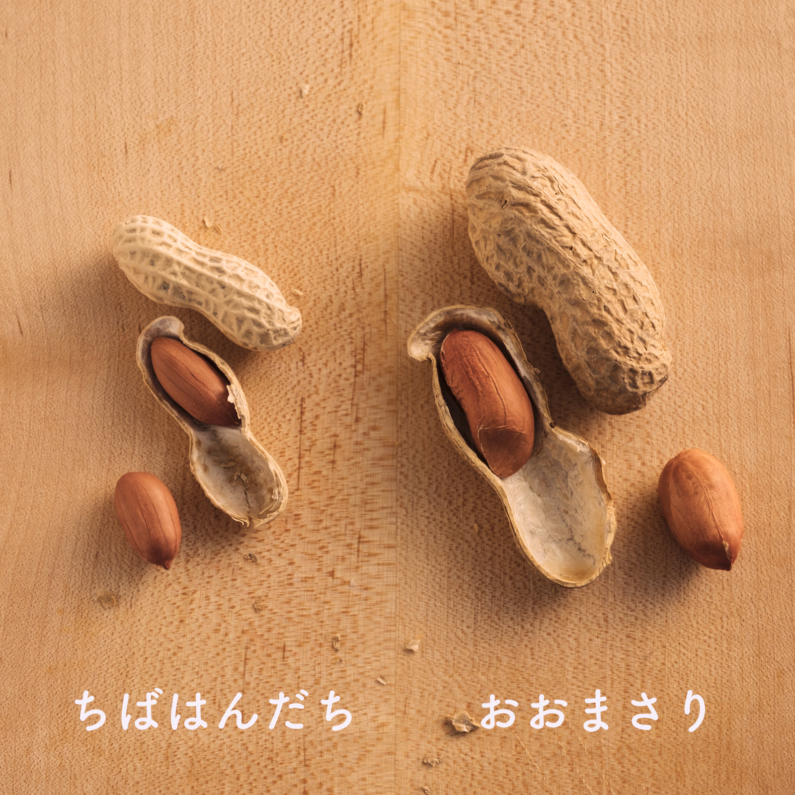 おおまさりとちばはんだち 比較