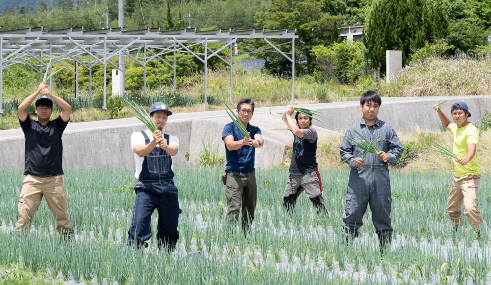 東広島市志和町でサムライねぎを育てるねぎらいふぁーむ